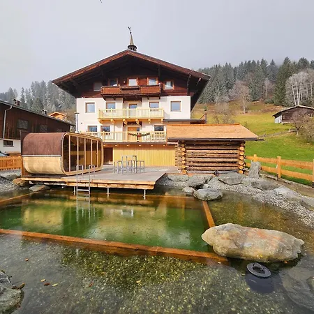 Bauenhaus With Swimming Pond And Hot Tub * Dorf (Salzburg)